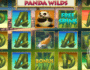 Free Slot Online Panda Wilds